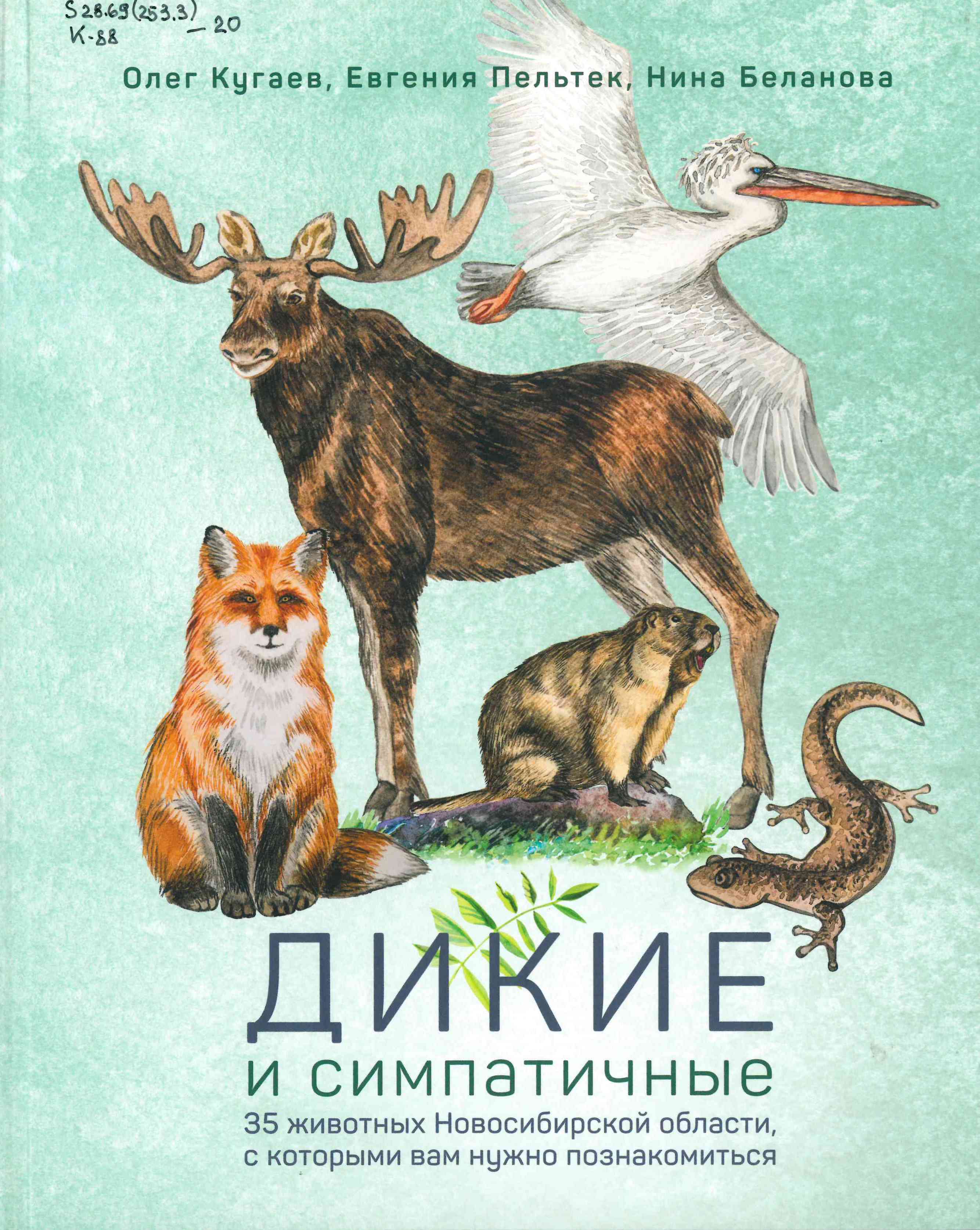 Дикие и симпатичные